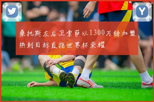桑托斯左后卫索萨以1300万镑加盟热刺目标直指世界杯荣耀
