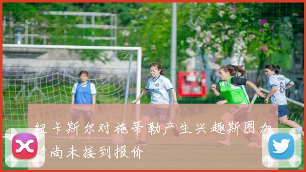 纽卡斯尔对施蒂勒产生兴趣斯图加特尚未接到报价