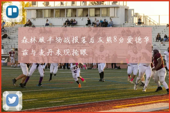 森林狼半场战报落后灰熊8分爱德华兹与麦丹表现抢眼